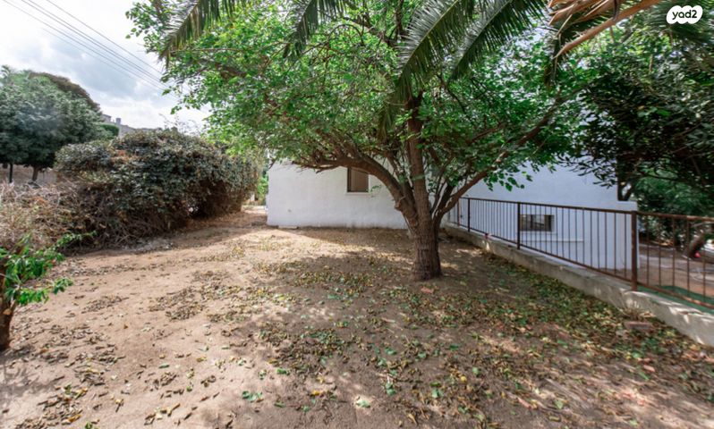 דו משפחתי, עצמון, צוותא א, אלפי מנשה