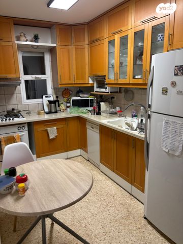 הכינור 