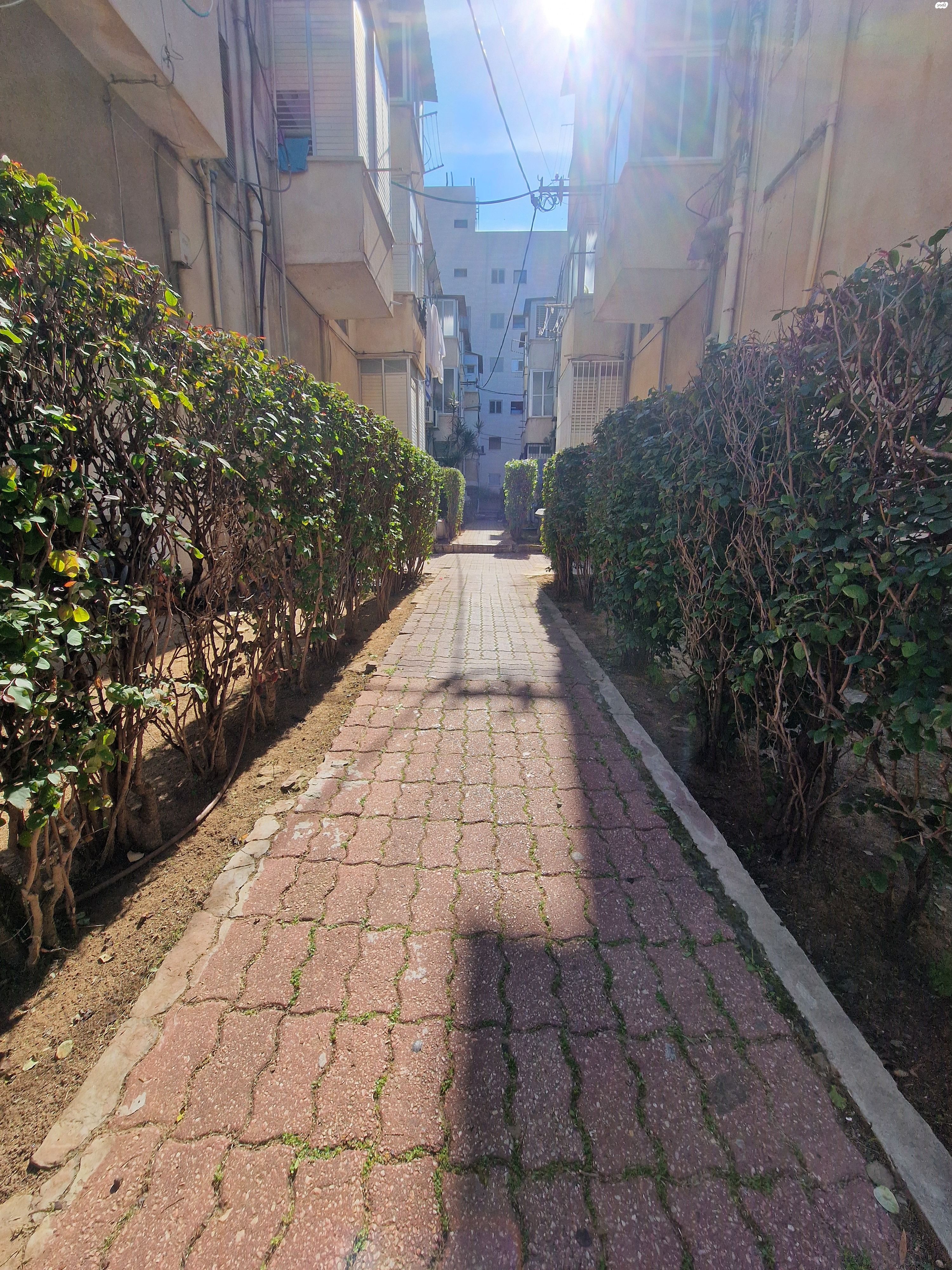 שינקין