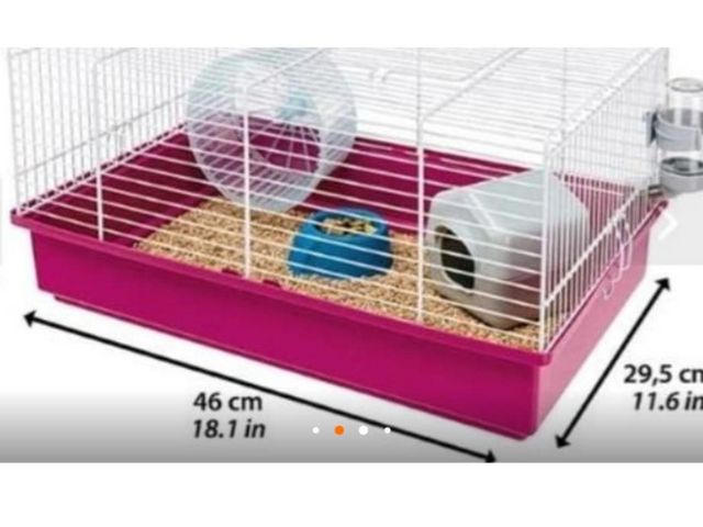 תמונת מודעה - חיות מחמד