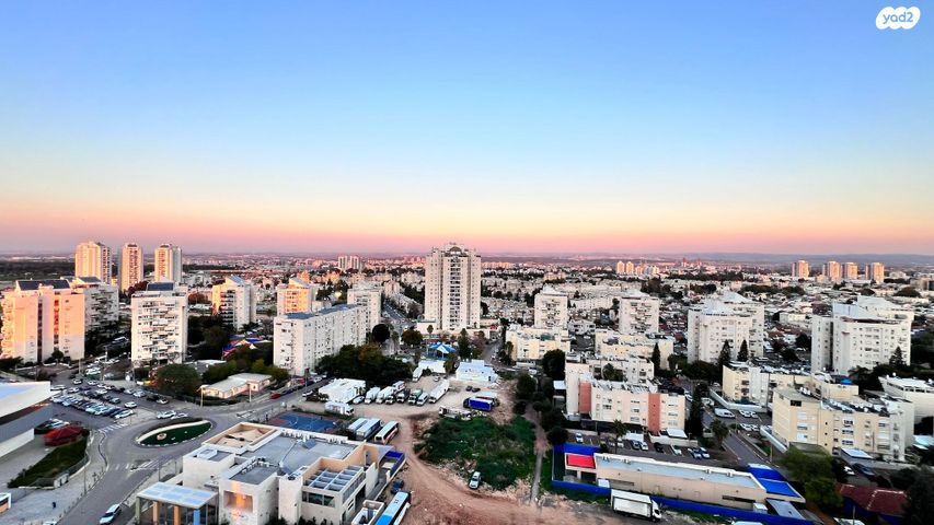 משה לוי 