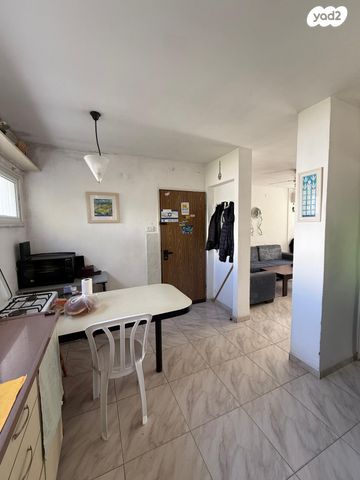 דירה, אילת, ג'סי כהן, חולון