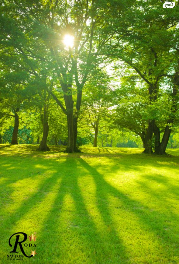 בית פרטי/ קוטג', סביון