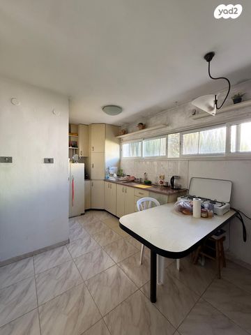 דירה, אילת, ג'סי כהן, חולון