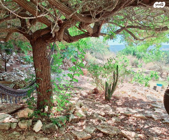 דו משפחתי, משעול מורן 15, קציר, קציר