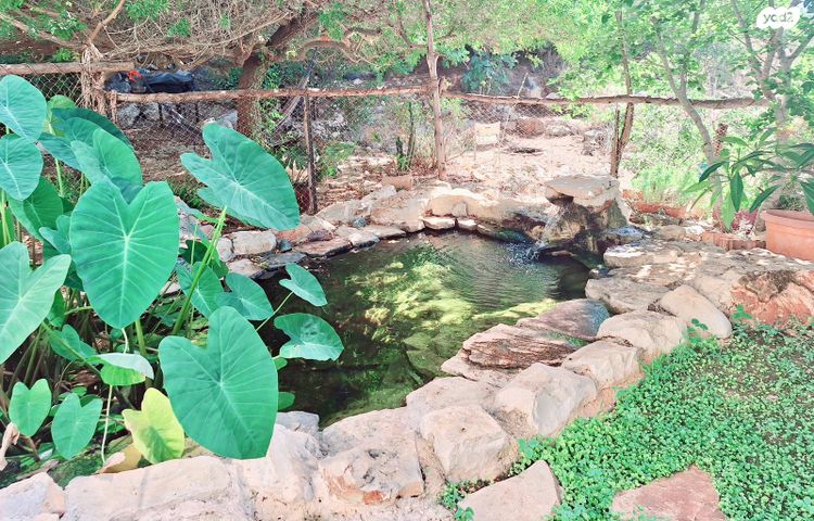 דו משפחתי, משעול מורן 15, קציר, קציר