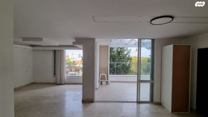 אריה דולצ'ין 