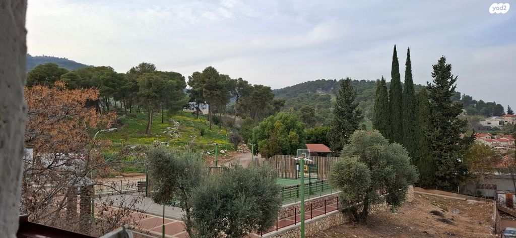 שלמה בן יוסף 