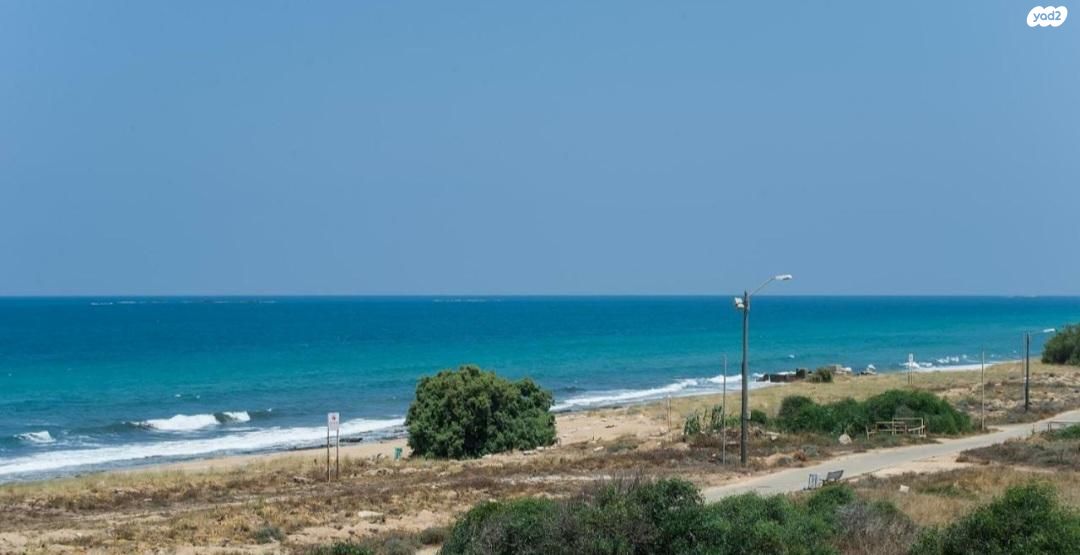 השקד 35