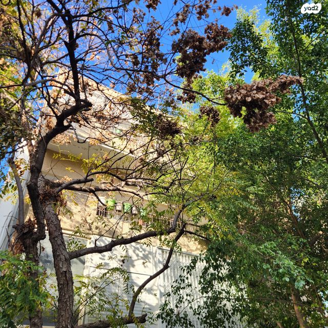 דירה, רוזנבאום, הצפון הישן - דרום, תל אביב יפו