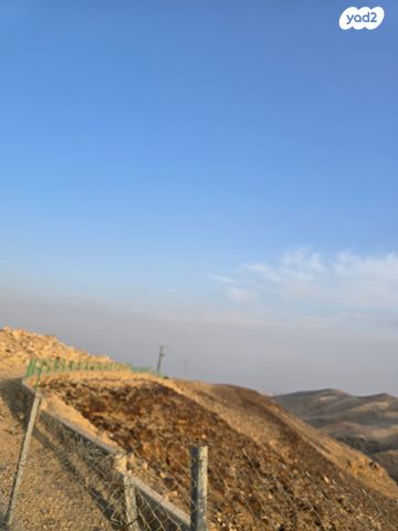 מגרשים, ניגונים 3, רננים, ערד