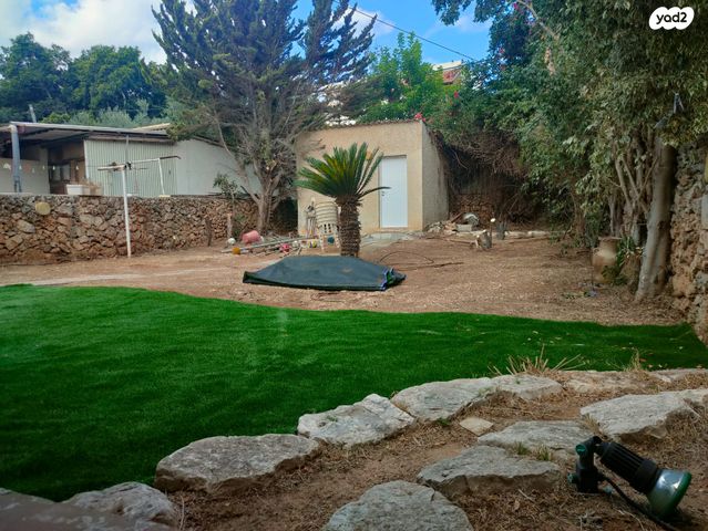 יציאת אירופה 43