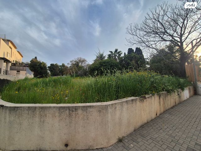 מגרשים, הרצליה