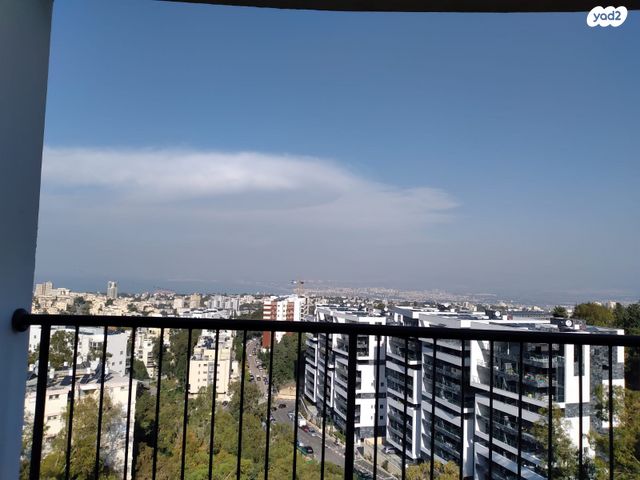 זלמן שניאור 