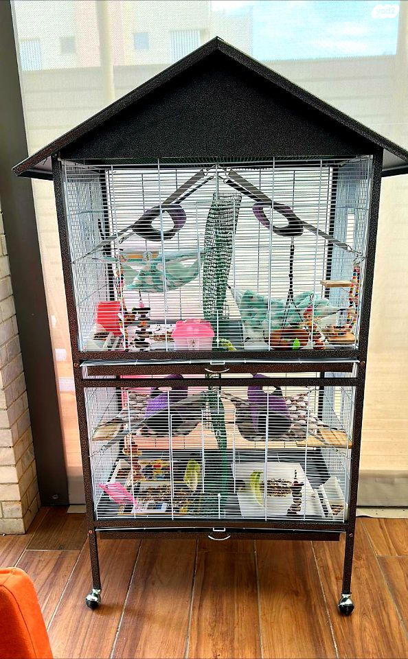 אביזרים | כלוב