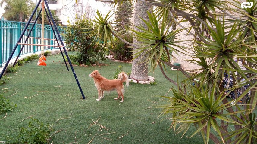 דירת גן, יצחק שתל 22, רמות, באר שבע