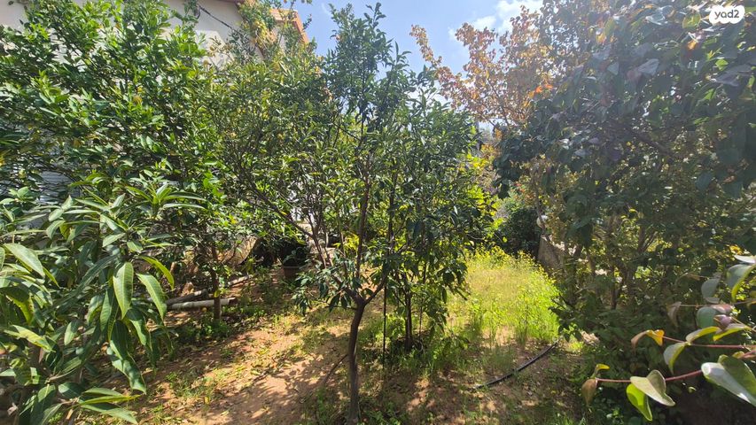 בית פרטי/ קוטג', אורנית