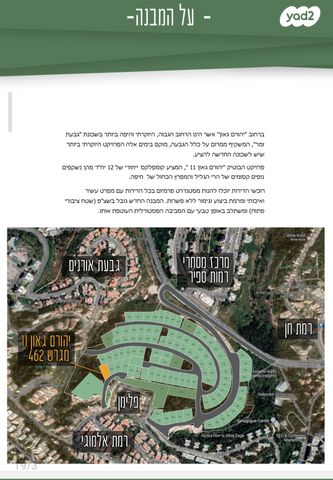 יהורם גאון 11