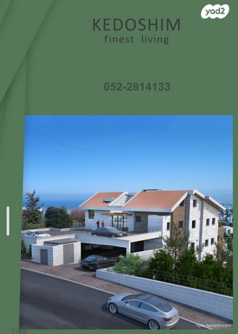 יהורם גאון 11