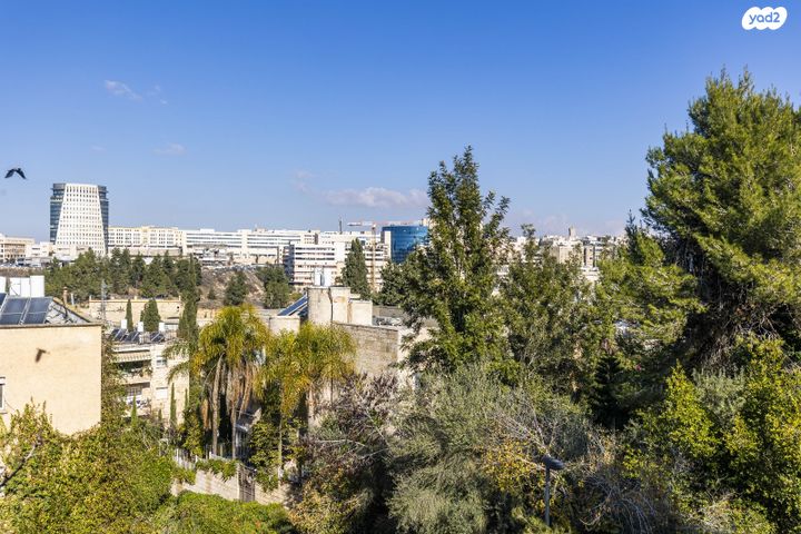 דירה, הארזים, בית הכרם, רמת בית הכרם, ירושלים