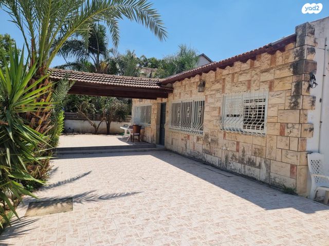 הזית 1