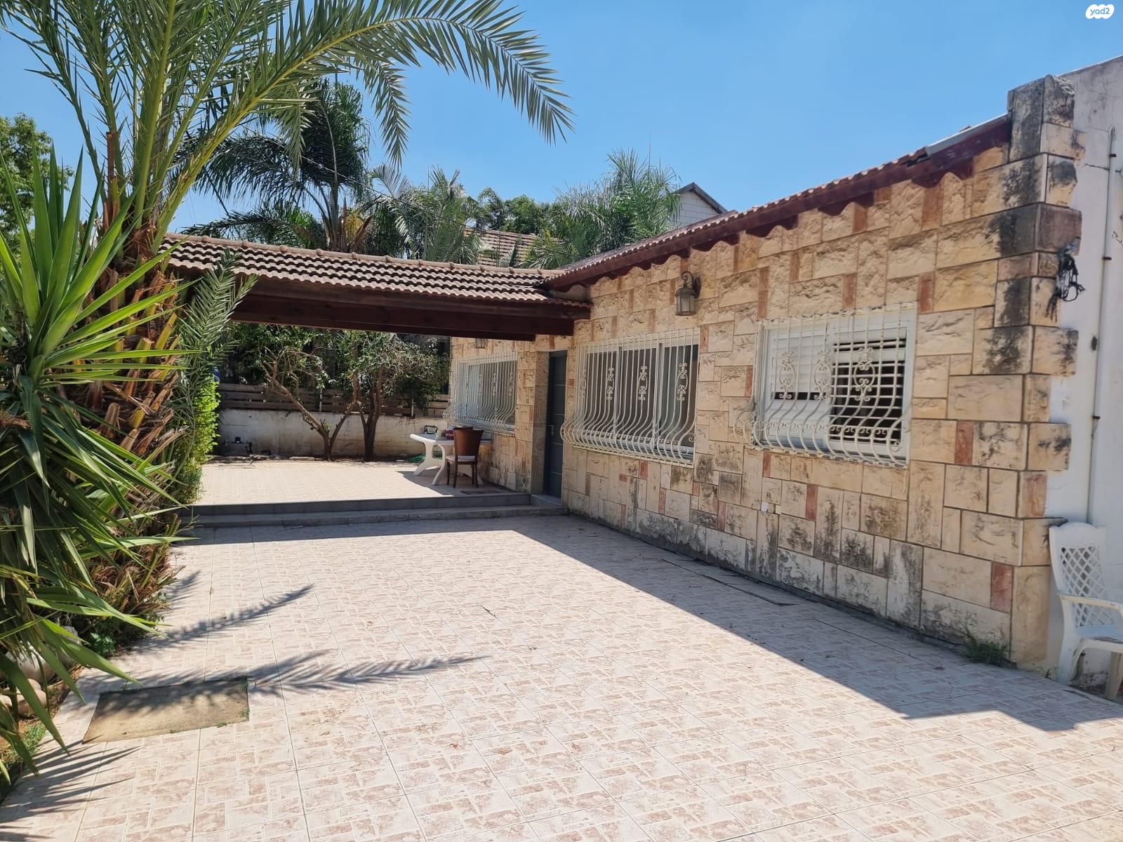 הזית 1