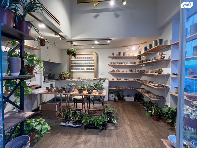 חנויות/ שטח מסחרי, רבי פנחס, צפון יפו, המושבה האמריקאית-גרמנית, תל אביב יפו