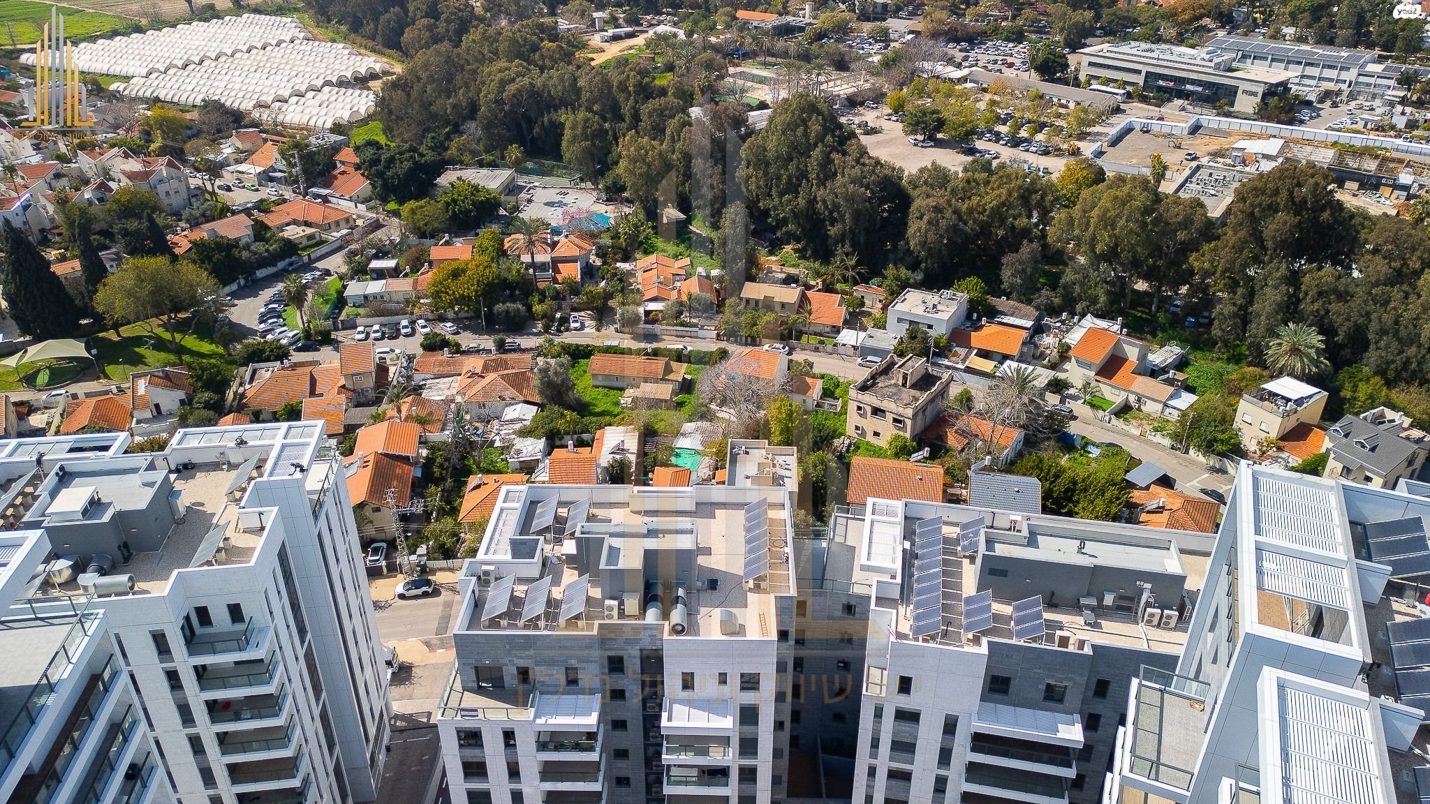 בר כוכבא 