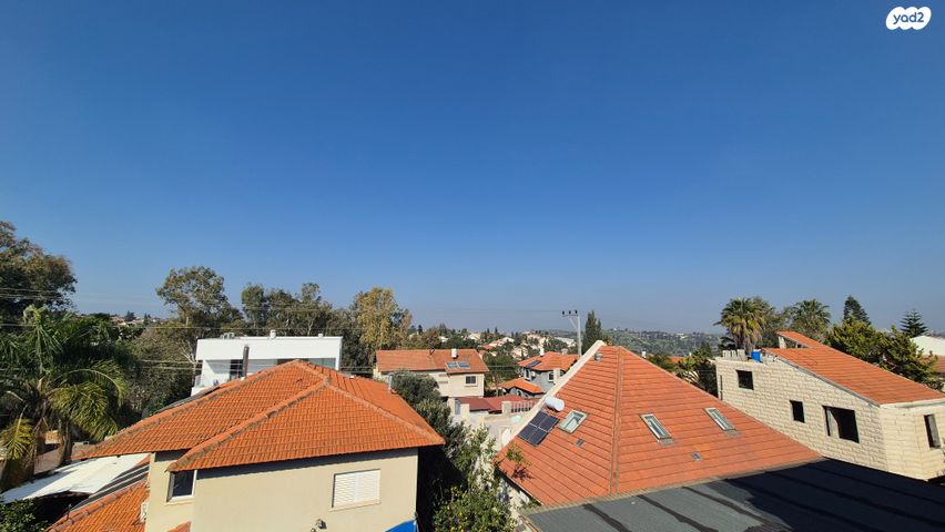 אורנית