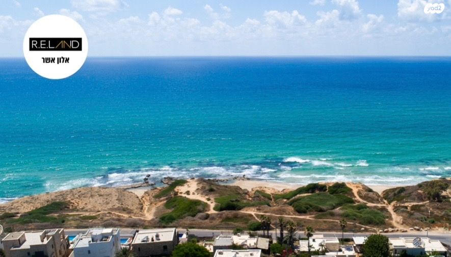 שושנת העמקים