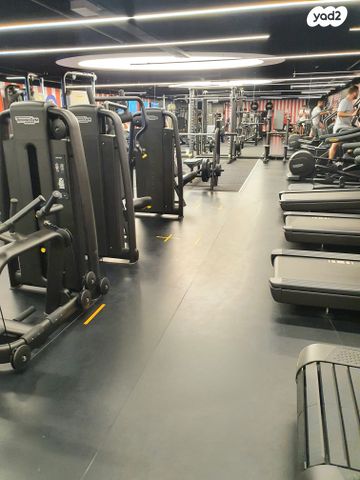 דירה, תל אביב יפו