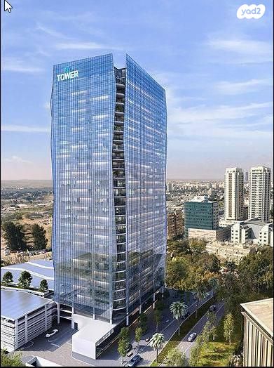 דוד וולפסון 1