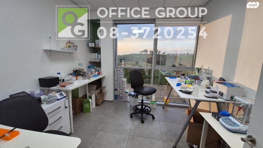 אלי הורוביץ 