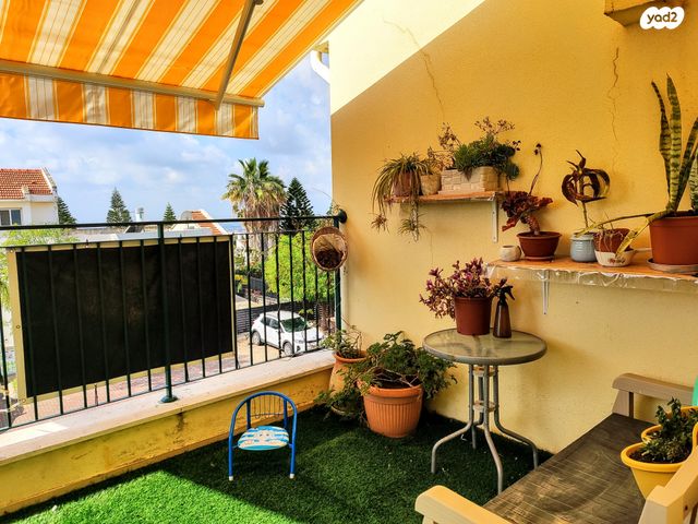 דירה, שלדג, צוותא ב, אלפי מנשה