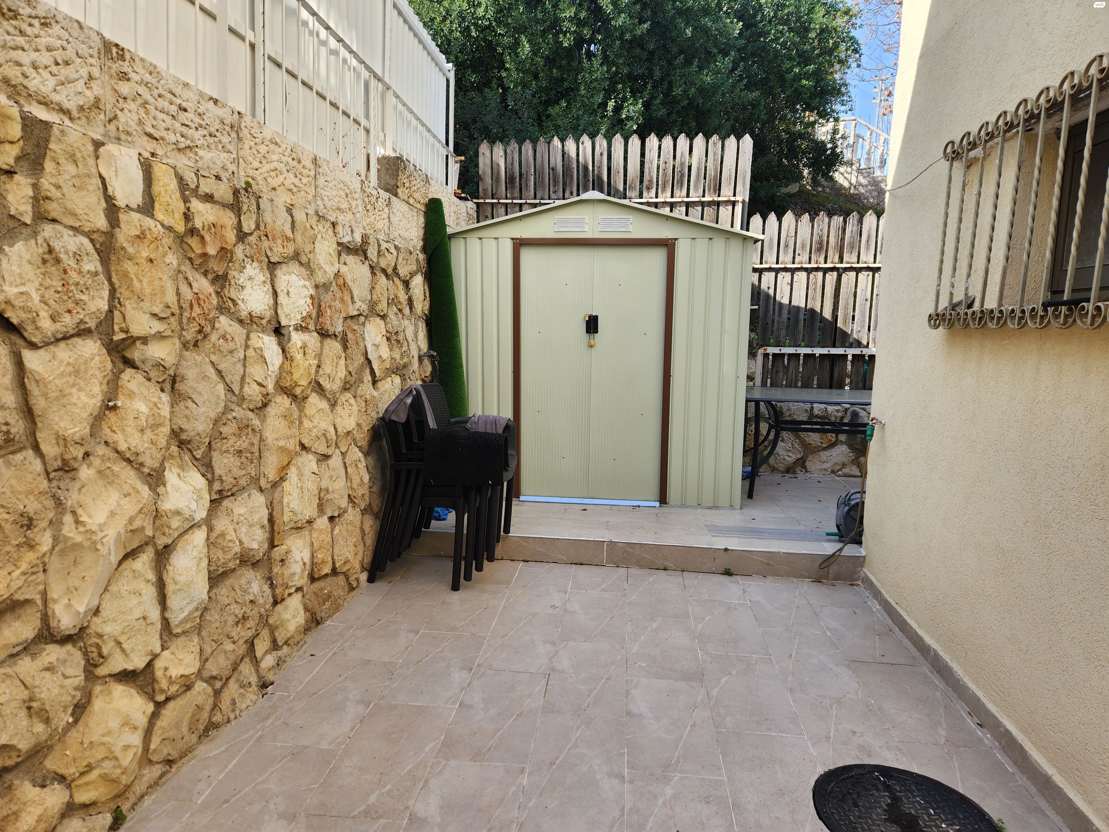 האיריס 12