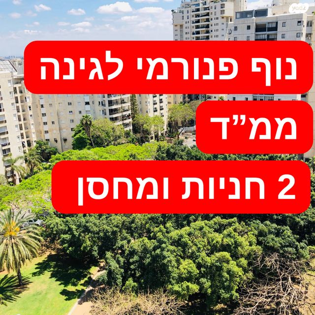 שמעון בן צבי 