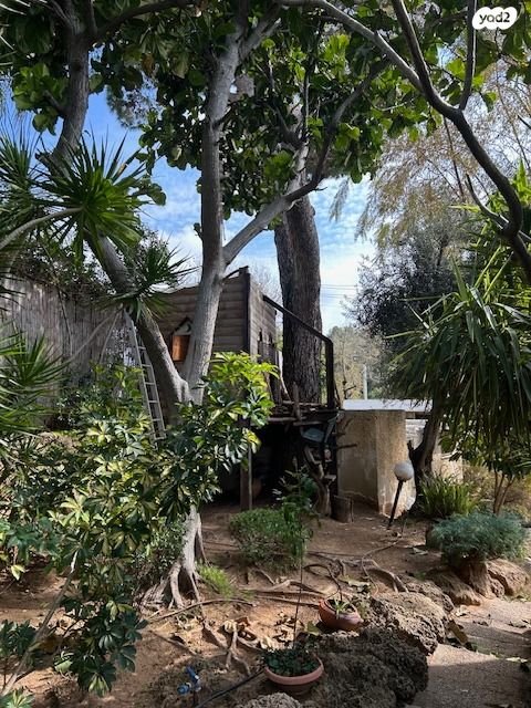 בית פרטי/ קוטג', כפר שמריהו, כפר שמריהו