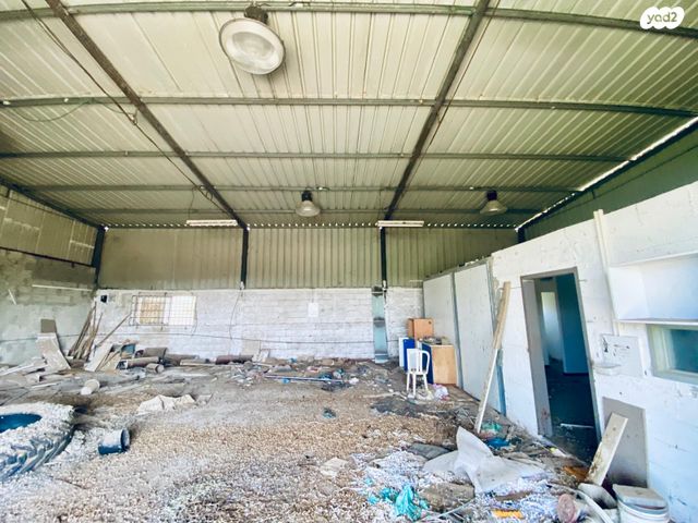 מחסנים, אלישמע