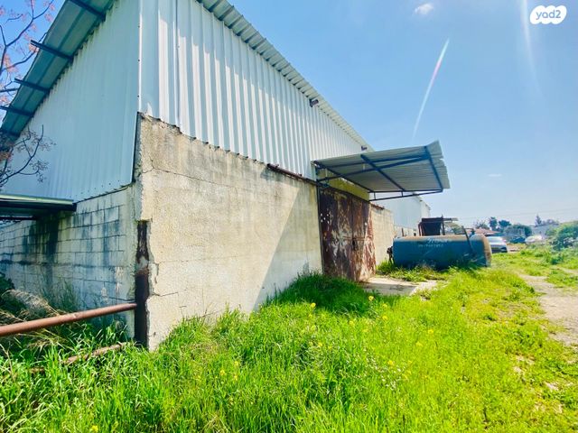 מחסנים, אלישמע