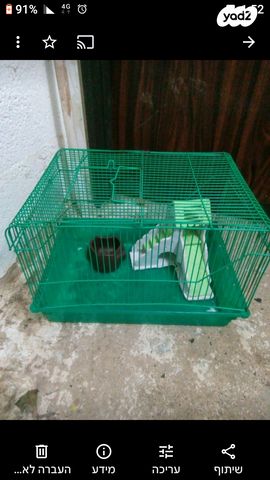 תמונת מודעה - חיות מחמד