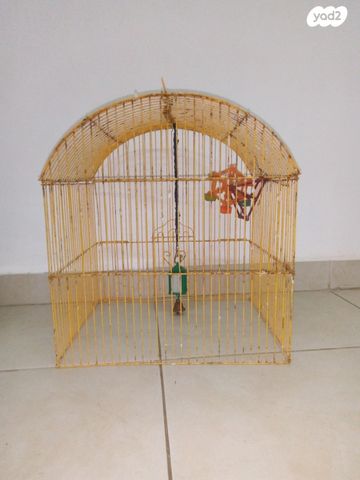 תמונת מודעה - חיות מחמד