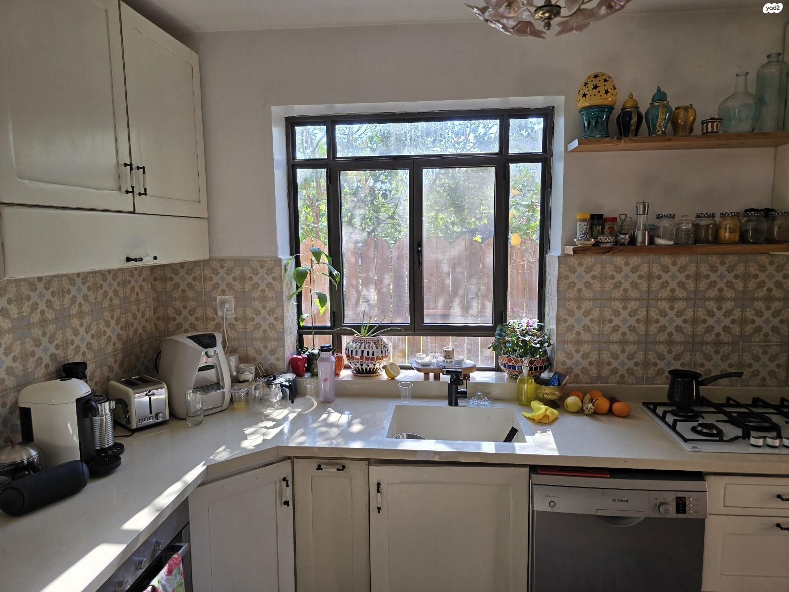 זית 1