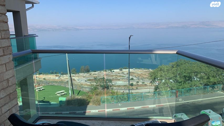 אחד העם 24