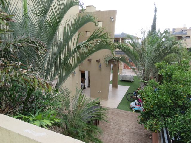 משה שרת 1