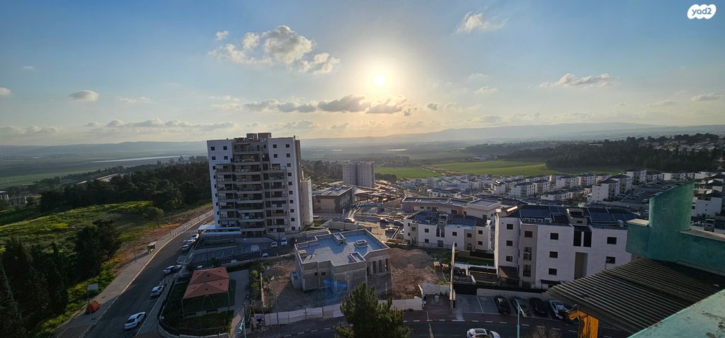 השקד 