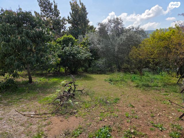 מגרשים, קרית טבעון