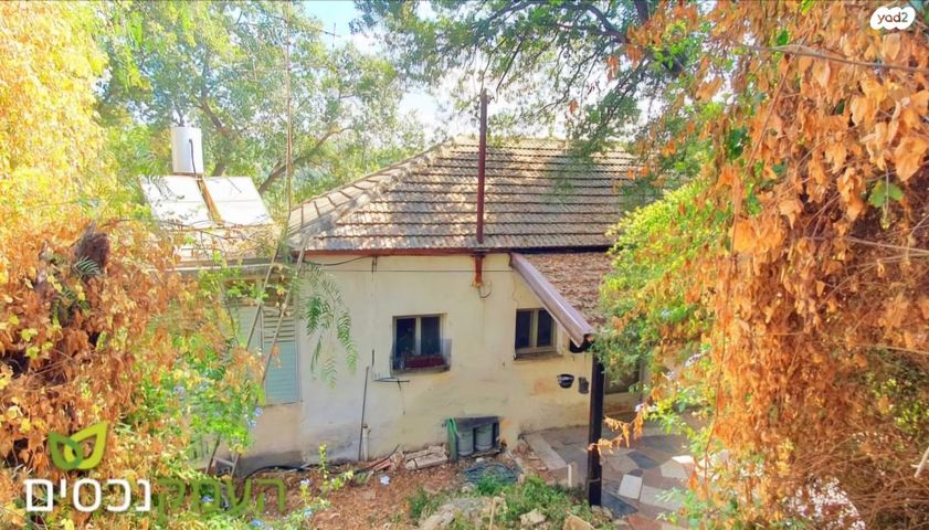 מגרשים, טבעון הוותיקה, קרית טבעון