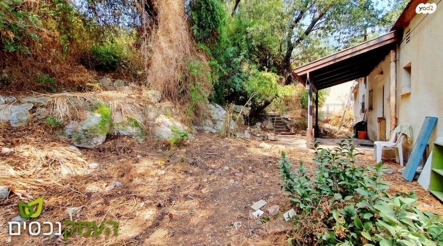 בית פרטי/ קוטג', טבעון הוותיקה, קרית טבעון