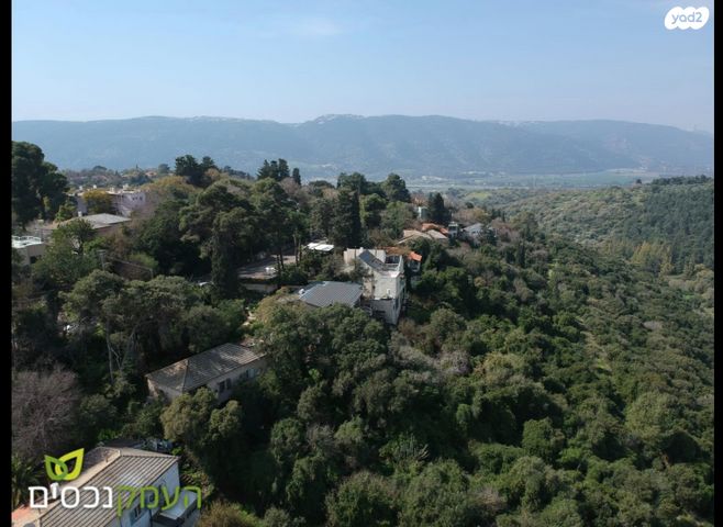 מגרשים, טבעון הוותיקה, קרית טבעון