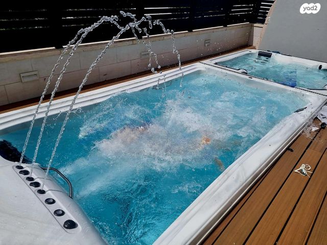 יהושע חנקין 